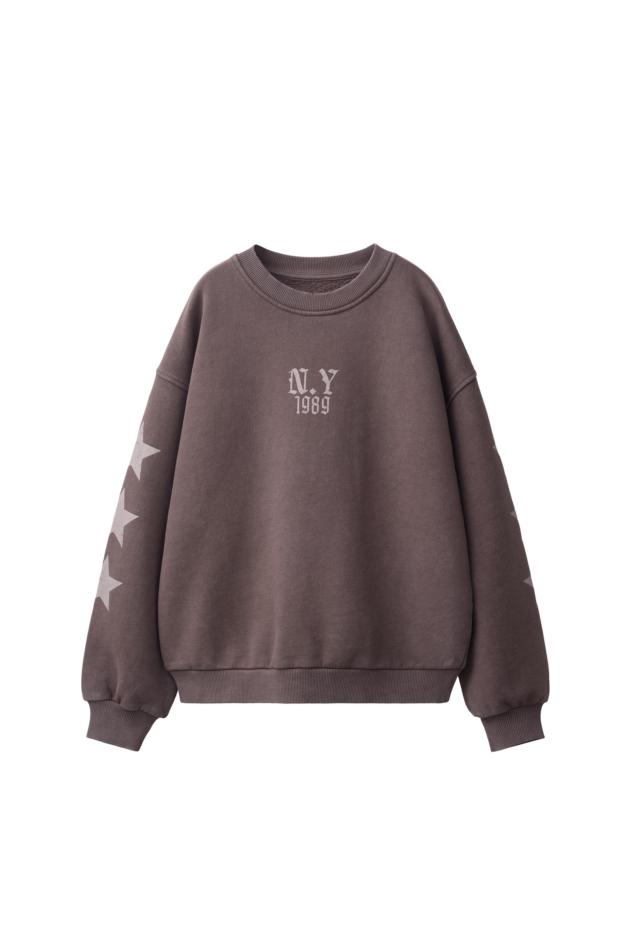 ТОЛСТОВКА С ПРИНТОМ URBAN — ZARA