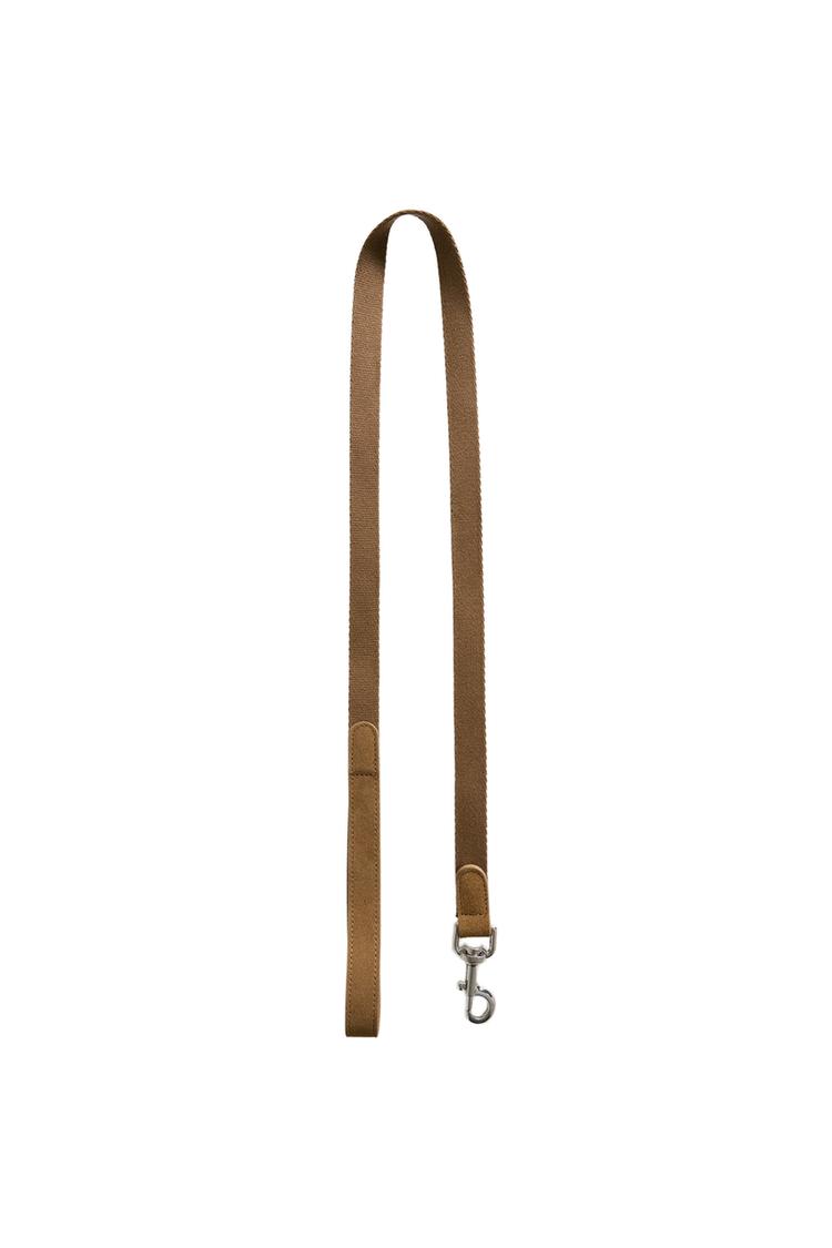 PET LEAD WITH LOBSTER CLASP