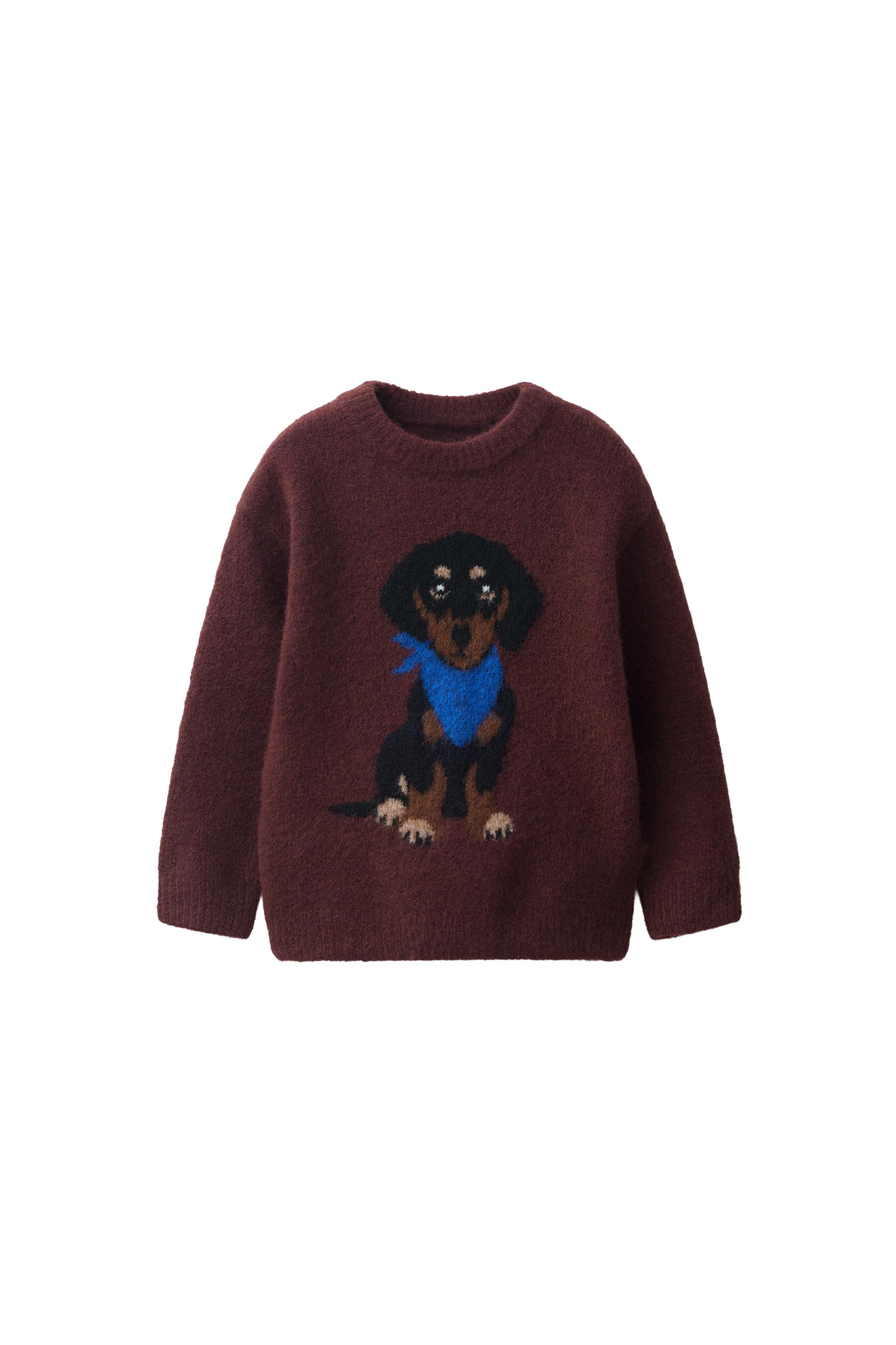 Джемпер с вышивкой собаки — ZARA